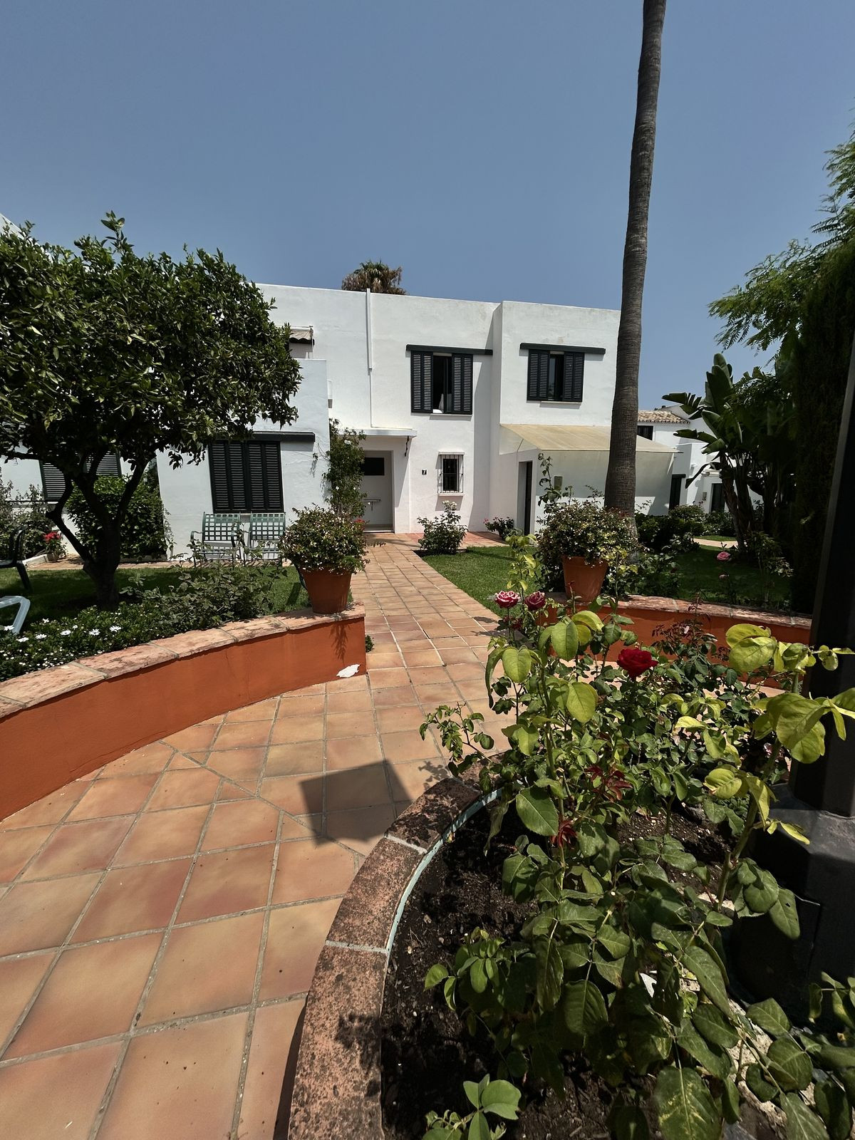 San Pedro de Alcántara